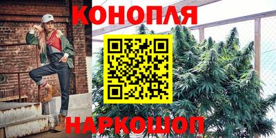 соль ск Новодвинск