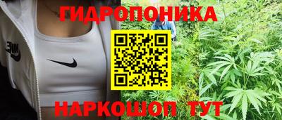 молекула духа Новокубанск