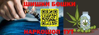 соль ск Новодвинск