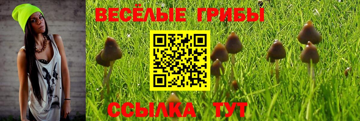 Сосновоборск  Псилоцибиновые грибы мухоморы  Вход с VPN  Псилоцибиновые грибы MAGIC MUSHROOMS 